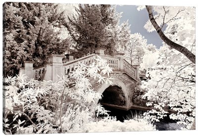 Crossed The Bridge Canvas Art Print - Paris Winter White Collection