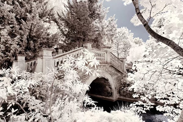 City Parks: Crossed The Bridge by Philippe Hugonnard