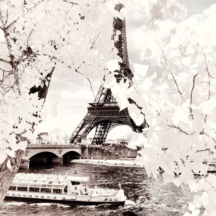 Cruise by Philippe Hugonnard wall art