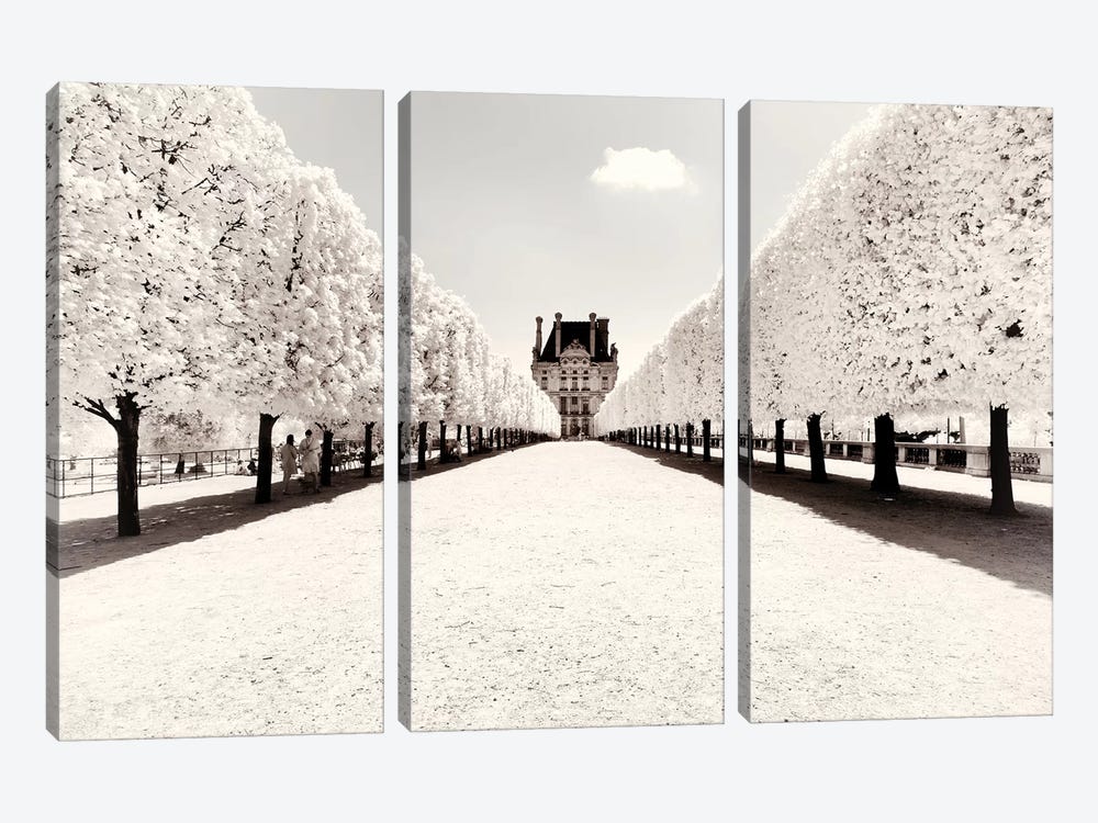 Focal Point by Philippe Hugonnard 3-piece Canvas Wall Art