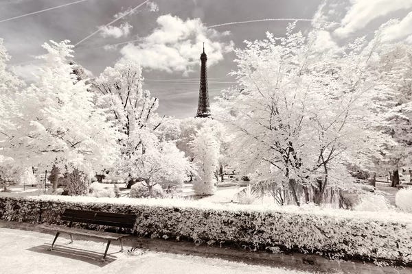 Paris Photography: Icy Winter by Philippe Hugonnard
