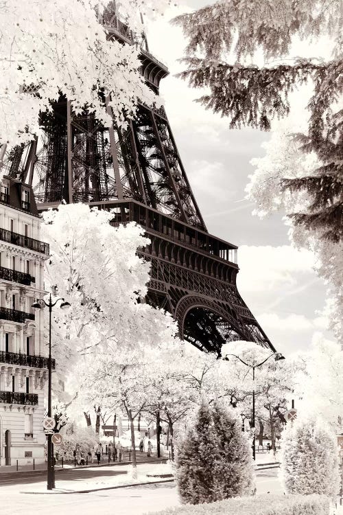Neighbour by Philippe Hugonnard wall art