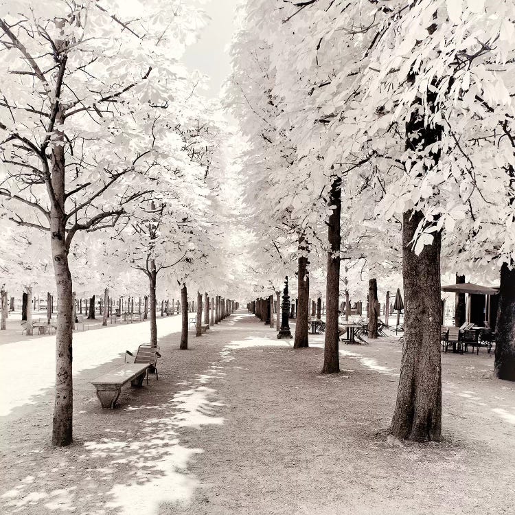 Perspective by Philippe Hugonnard wall art