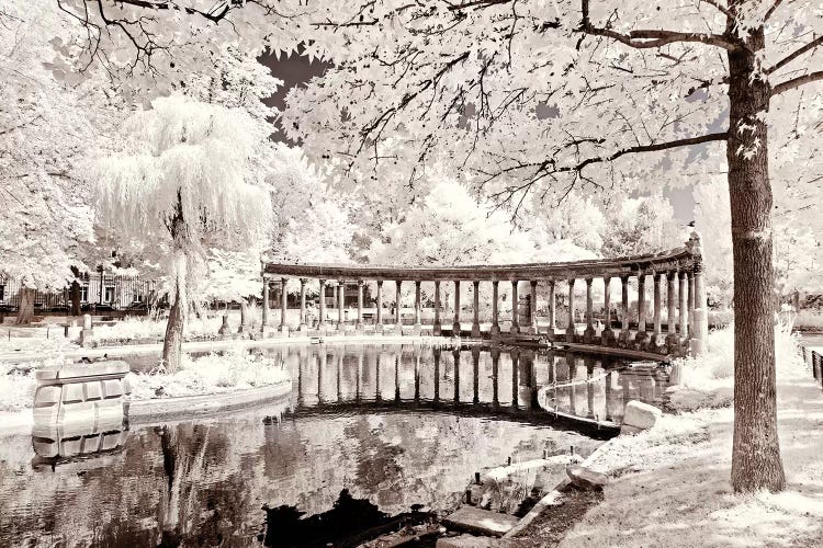 Reflections by Philippe Hugonnard wall art