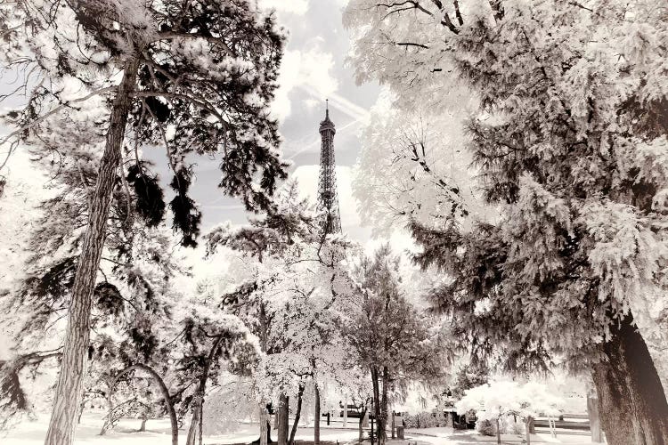 Snowy Forest by Philippe Hugonnard wall art