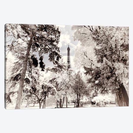 Snowy Forest Canvas Print #PHD687} by Philippe Hugonnard Art Print