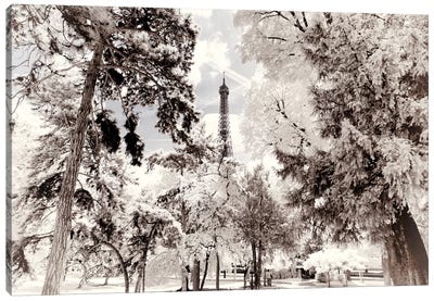 Snowy Forest Canvas Art Print - Paris Winter White Collection
