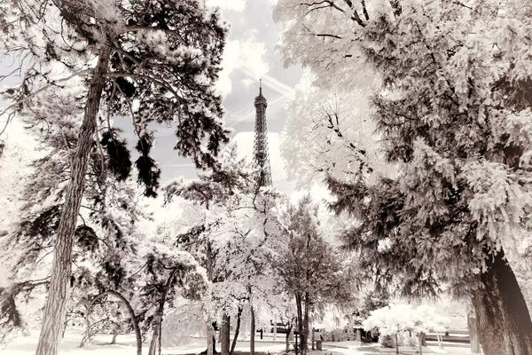 Paris Photography: Snowy Forest by Philippe Hugonnard