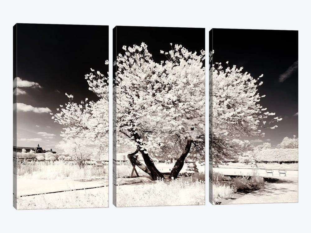Solitary by Philippe Hugonnard 3-piece Canvas Print