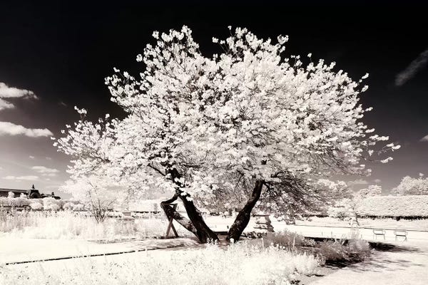 City Parks: Solitary by Philippe Hugonnard