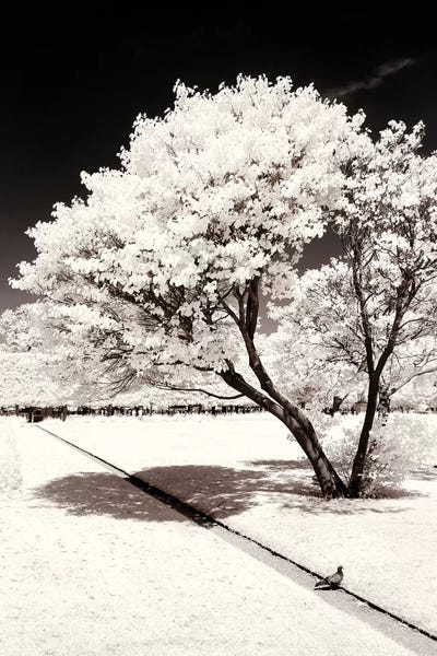 Paris Photography: Straight Line by Philippe Hugonnard