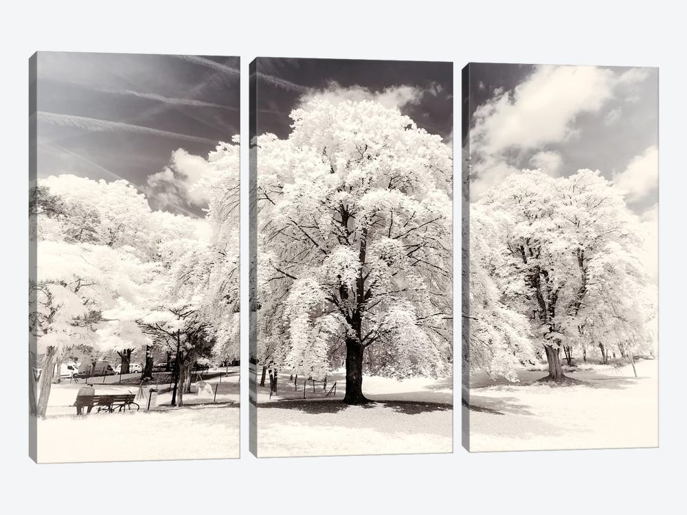 White Trees by Philippe Hugonnard 3-piece Art Print