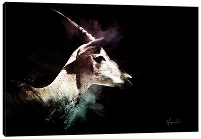 The Impala Canvas Art Print