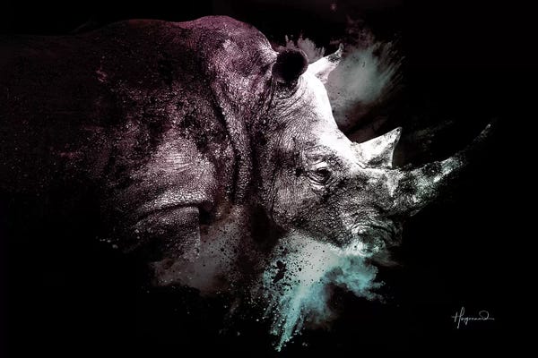 Rhinoceroses: The Rhino by Philippe Hugonnard