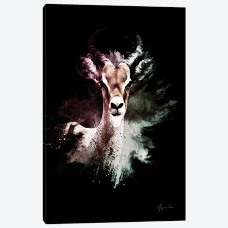 The Antelope Canvas Print #PHD799} by Philippe Hugonnard Canvas Art