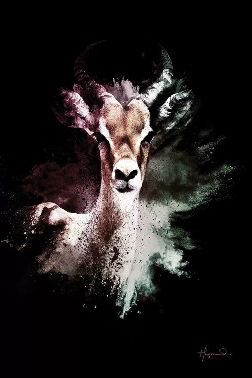 The Antelope