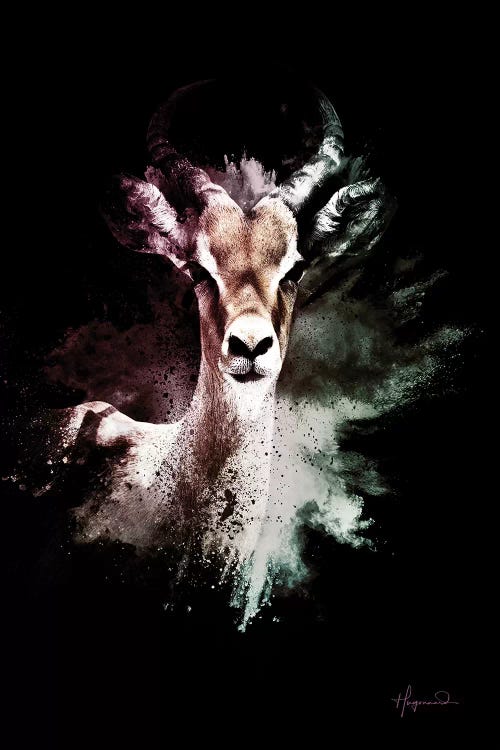 The Antelope by Philippe Hugonnard wall art