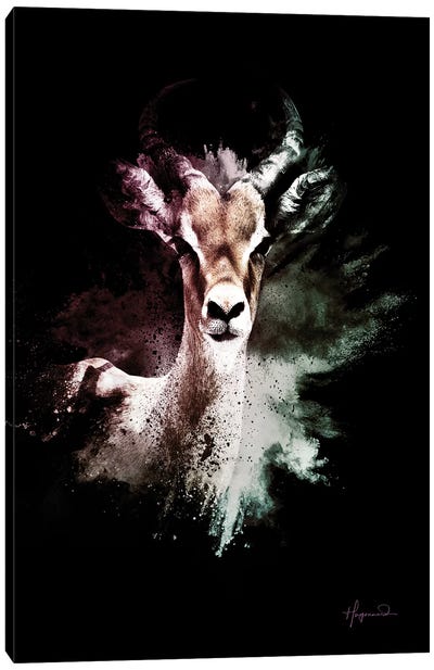 The Antelope Canvas Art Print