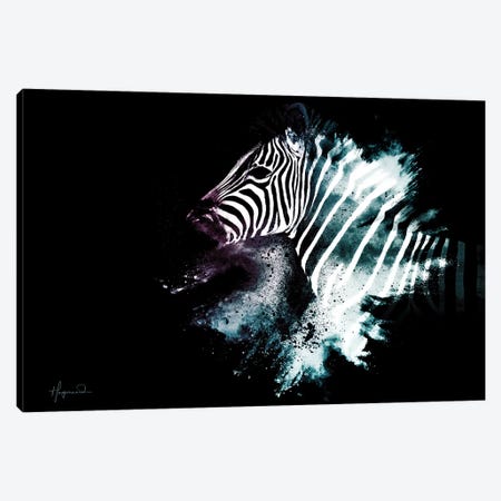 The Zebra Canvas Print #PHD800} by Philippe Hugonnard Canvas Wall Art