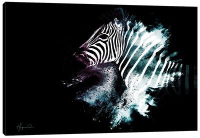 The Zebra Canvas Art Print