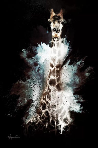 Giraffes: The Giraffe by Philippe Hugonnard