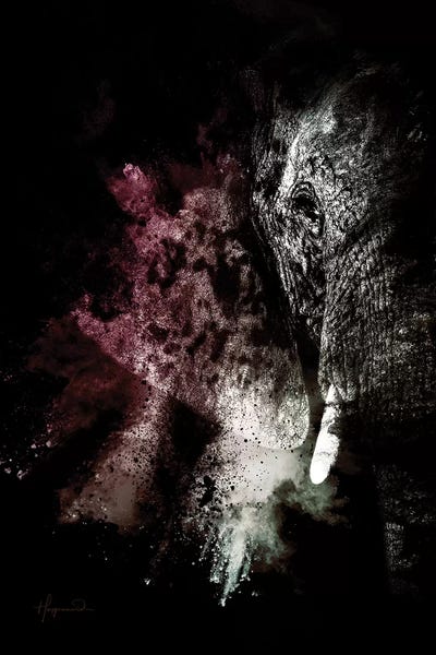 The Elephant by Philippe Hugonnard canvas print