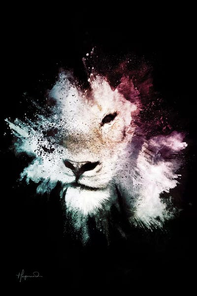 The Lion by Philippe Hugonnard canvas print