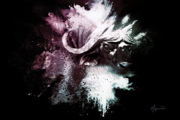 Bison & Buffaloes: The Cape Buffalo by Philippe Hugonnard