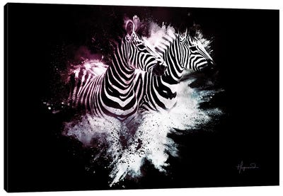 The Zebras Canvas Art Print - Wild Explosions