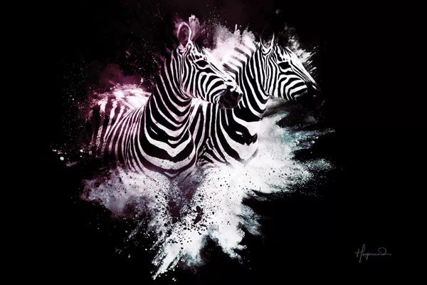 Zebras: The Zebras by Philippe Hugonnard