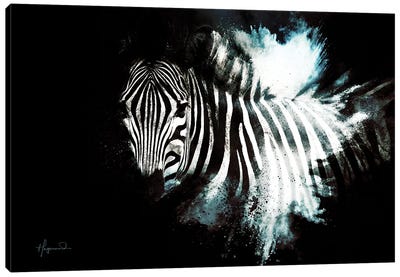 The Zebra II Canvas Art Print - Wild Explosions