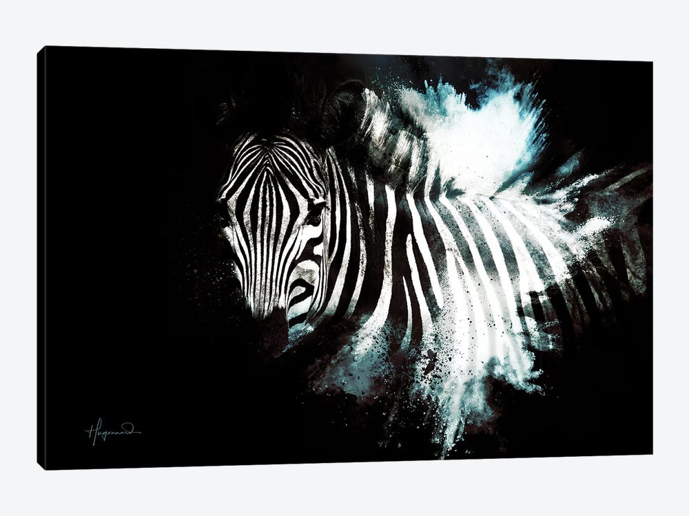 The Zebra II by Philippe Hugonnard 1-piece Canvas Artwork