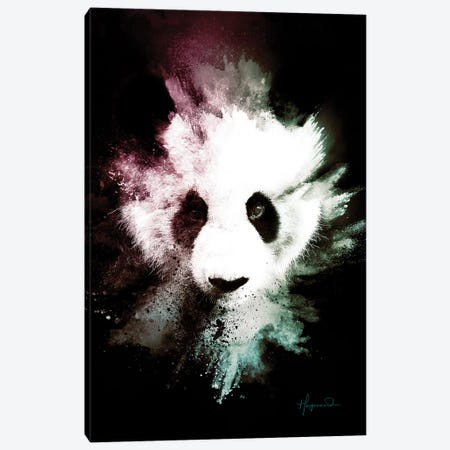 The Panda Canvas Print #PHD811} by Philippe Hugonnard Canvas Art Print