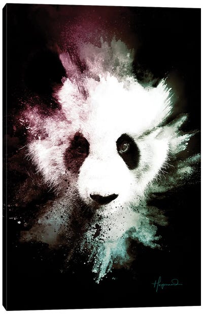 The Panda Canvas Art Print - Wild Explosions