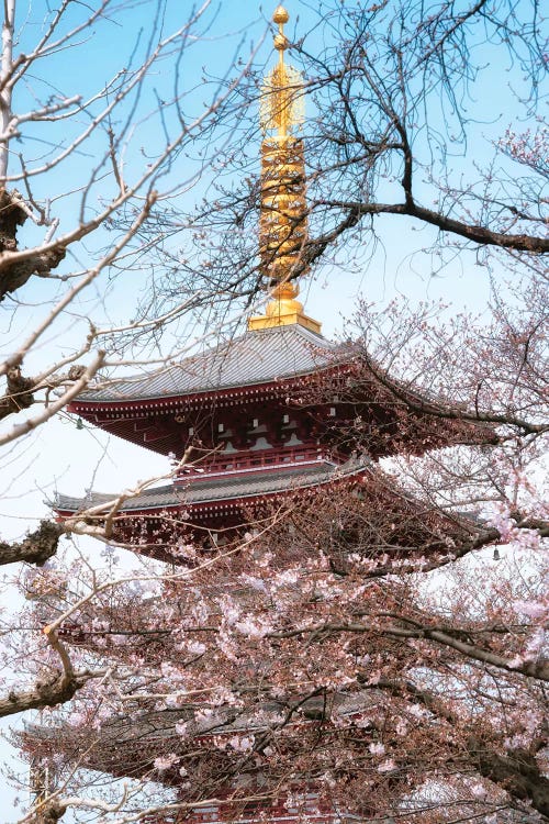 Pagoda Senjo-Ji by Philippe Hugonnard wall art
