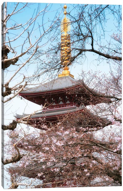 Pagoda Senjo-Ji Canvas Art Print - Cherry Tree Art