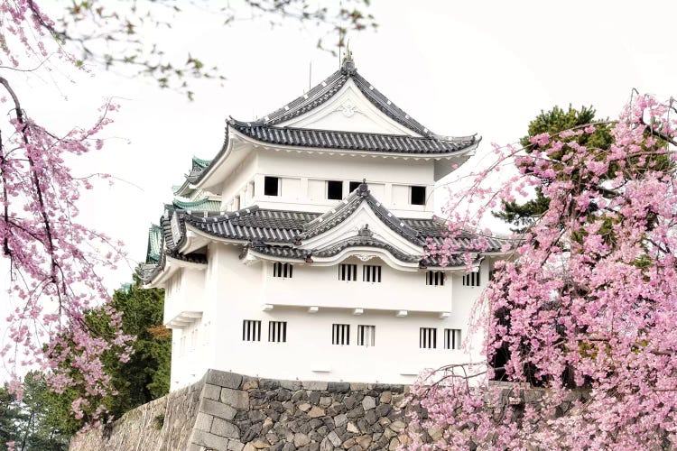 Sakura Nagoya Castle