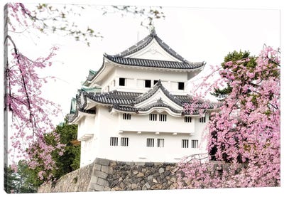 Sakura Nagoya Castle Canvas Art Print - Cherry Blossom Art