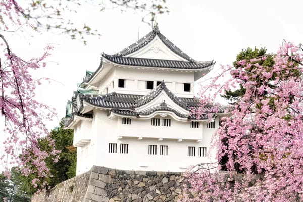 Japanese Culture: Sakura Nagoya Castle by Philippe Hugonnard