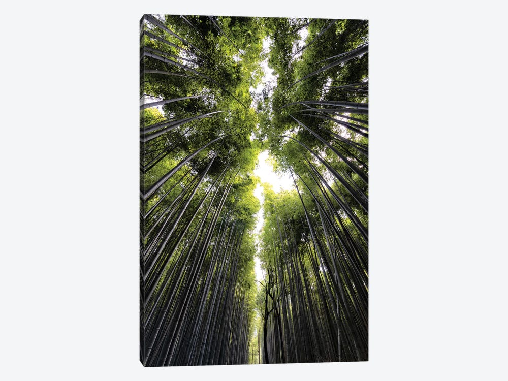 Sagano Bamboo Forest by Philippe Hugonnard 1-piece Canvas Artwork
