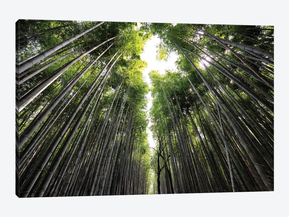 Sagano Bamboo Forest II by Philippe Hugonnard 1-piece Art Print