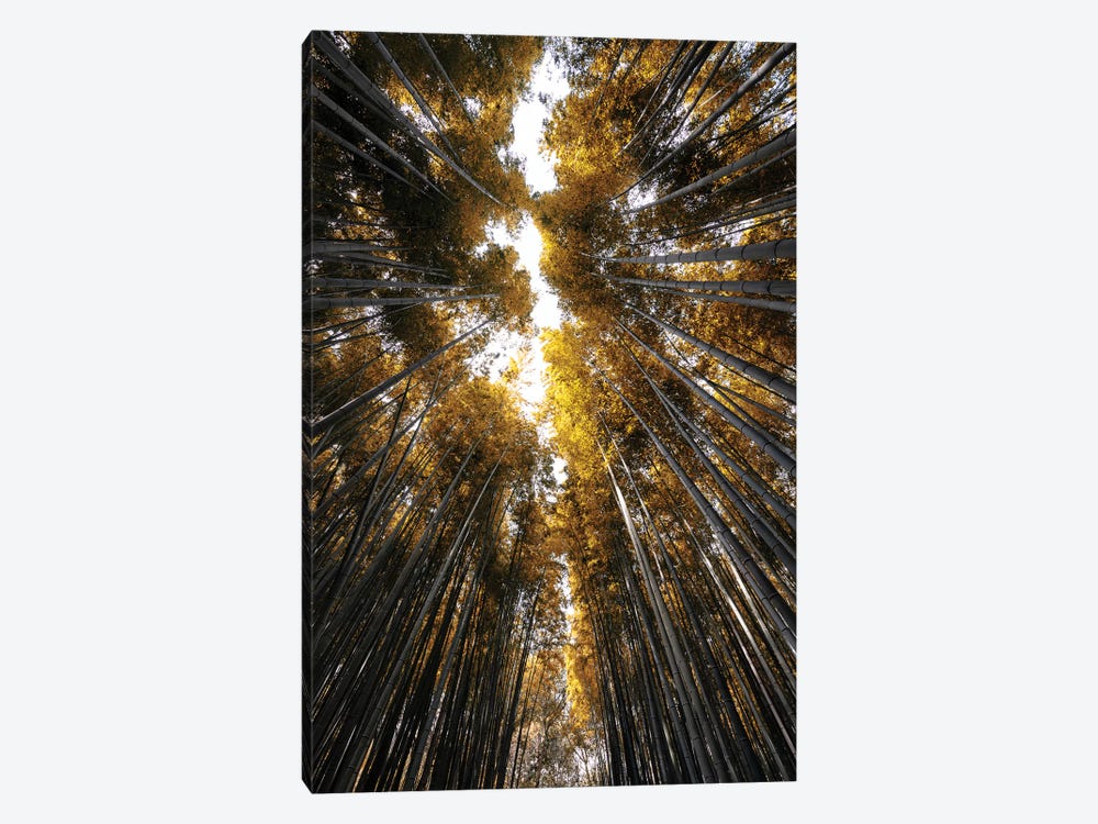 Sagano Bamboo Forest III by Philippe Hugonnard 1-piece Canvas Art