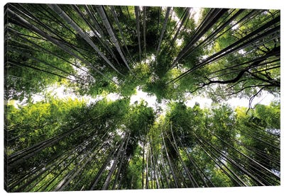 Arashiyama Bamboo Forest Canvas Art Print - Japan Rising Sun