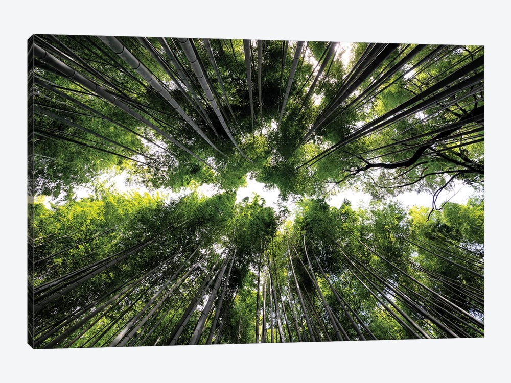 Arashiyama Bamboo Forest by Philippe Hugonnard 1-piece Canvas Print