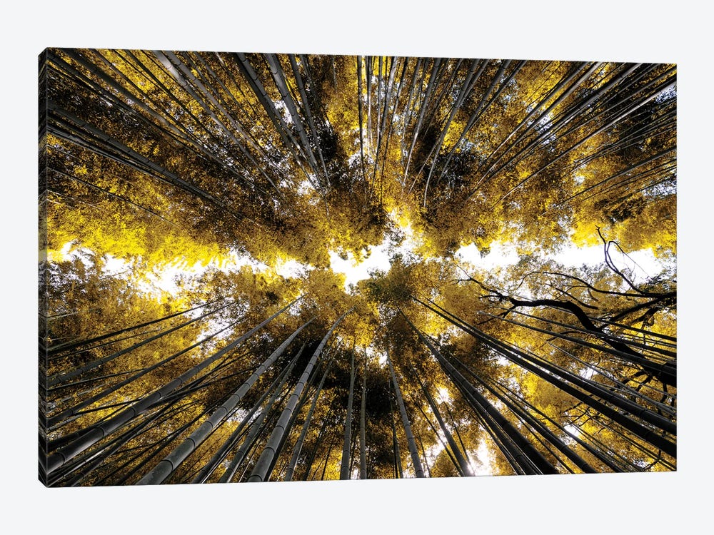 Arashiyama Bamboo Forest I by Philippe Hugonnard 1-piece Canvas Art Print