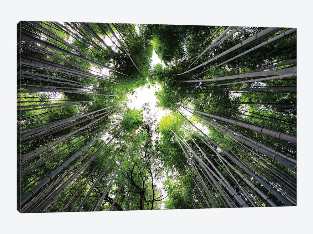 Arashiyama Bamboo Forest II by Philippe Hugonnard 1-piece Canvas Art