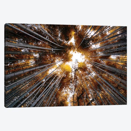 Arashiyama Bamboo Forest III Canvas Print #PHD842} by Philippe Hugonnard Canvas Artwork