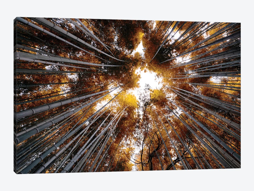 Arashiyama Bamboo Forest III by Philippe Hugonnard 1-piece Canvas Print
