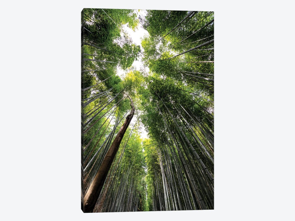 Arashiyama Bamboo Forest IV by Philippe Hugonnard 1-piece Canvas Art