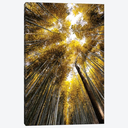 Arashiyama Bamboo Forest V Canvas Print #PHD844} by Philippe Hugonnard Canvas Art Print